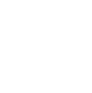 Check Icon